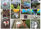 Pet Umbrella, Dog Umbrella with Leash Snow-Proof Rain Proof Windproof Umbrella