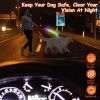 5FT Light Up Dog Leash LED Dog Leash Dog Walking Leash with 9 Light Colors IPX7 Waterproof USB Rechargeable