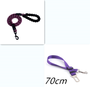 Reflective Dog Leash Nylon Pet Dog Leash Rope For Small Medium Large Dogs Walking Training Pet Suppiles (Option: Purple set)